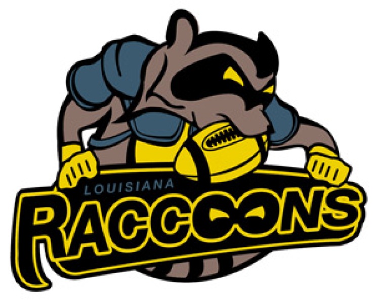 RACCOONS IN THE FOOTBALL!